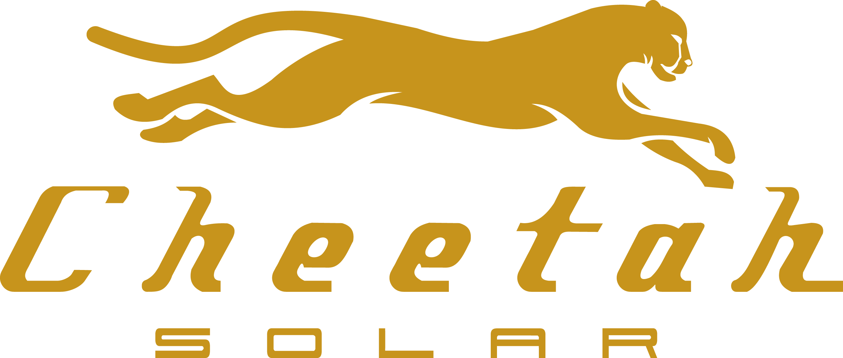uploads/cheetah-logo.png